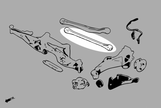 Rear Lower Arm Bmw, Mini