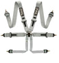 6-point safety harness Pro Plus FIA - Grey