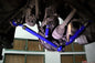 Rear Traction Rod Lexus GS, SC, Toyota Soarer, Supra