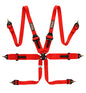 6-point safety harness FHR Touring FIA - Red