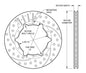 160-9250-BK - Wilwood SRP Rotors - 266x20mm Curved Slotted & Cross Drilled Left
