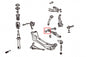 Front Lower Arm Bushing Lexus IS, Toyota Altezza