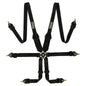 6-point safety harness FHR Endurance FIA - Black